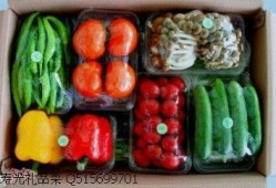 钛9吃瓜爆料最新,娱乐圈最新瓜料大曝光！